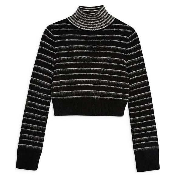 Topshop Sweaters - Topshop Rock N’ Roll Stripe Crop Turtleneck